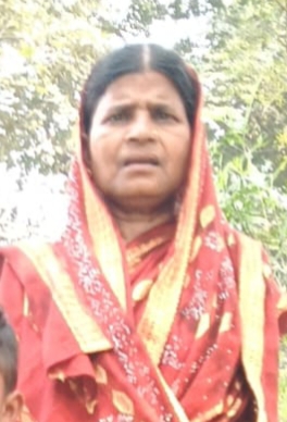 ଜଙ୍ଗଲୀ ମଇଁଷି ଆକ୍ରମଣରେ ବିଧବା ମହିଳା ମୃତ।